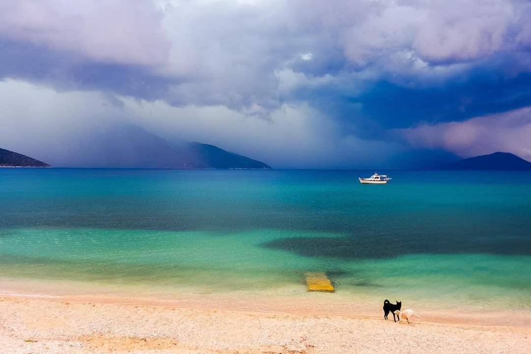 Camping Karavomilos ซามี ภายนอก รูปภาพ